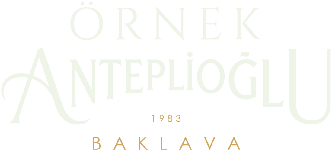 Örnek Anteplioğlu logo
